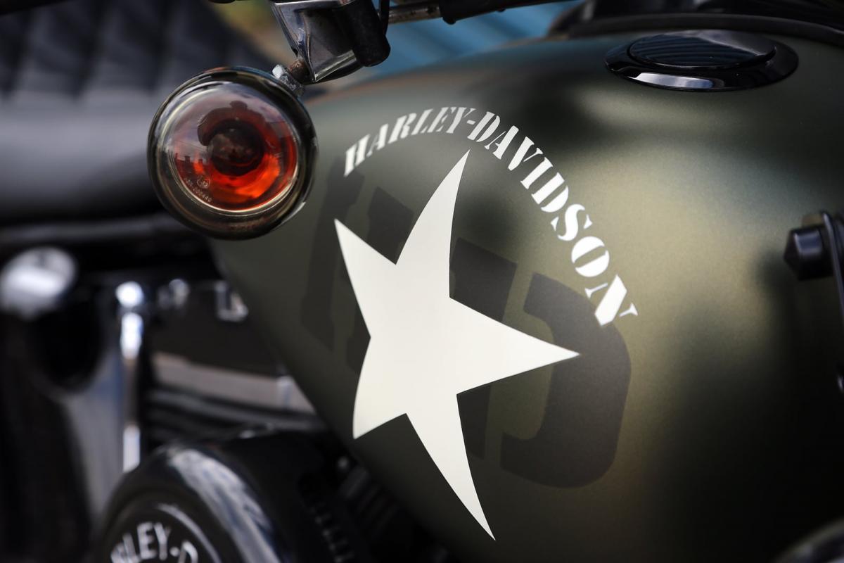 Harley davidson online limited softail