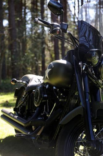 Armadillo_Customs_Harley_Davidson_Softail_Slim_S_16