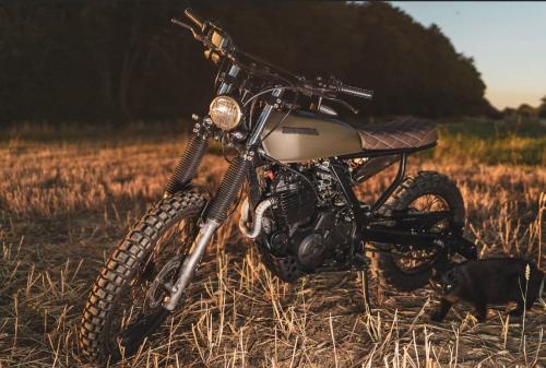 Dominator_Armadillo_Customs_7